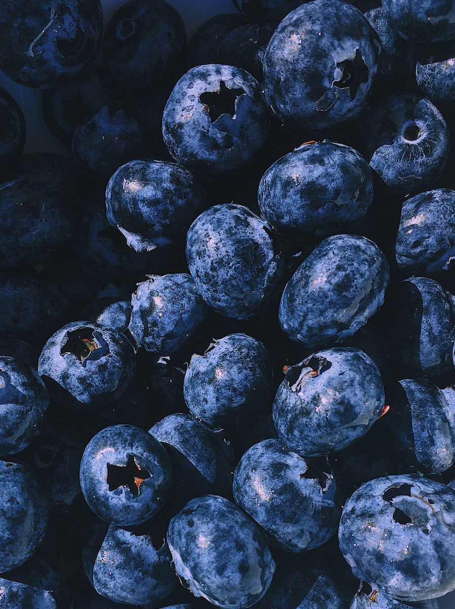 Dürfen Hunde Heidelbeeren essen