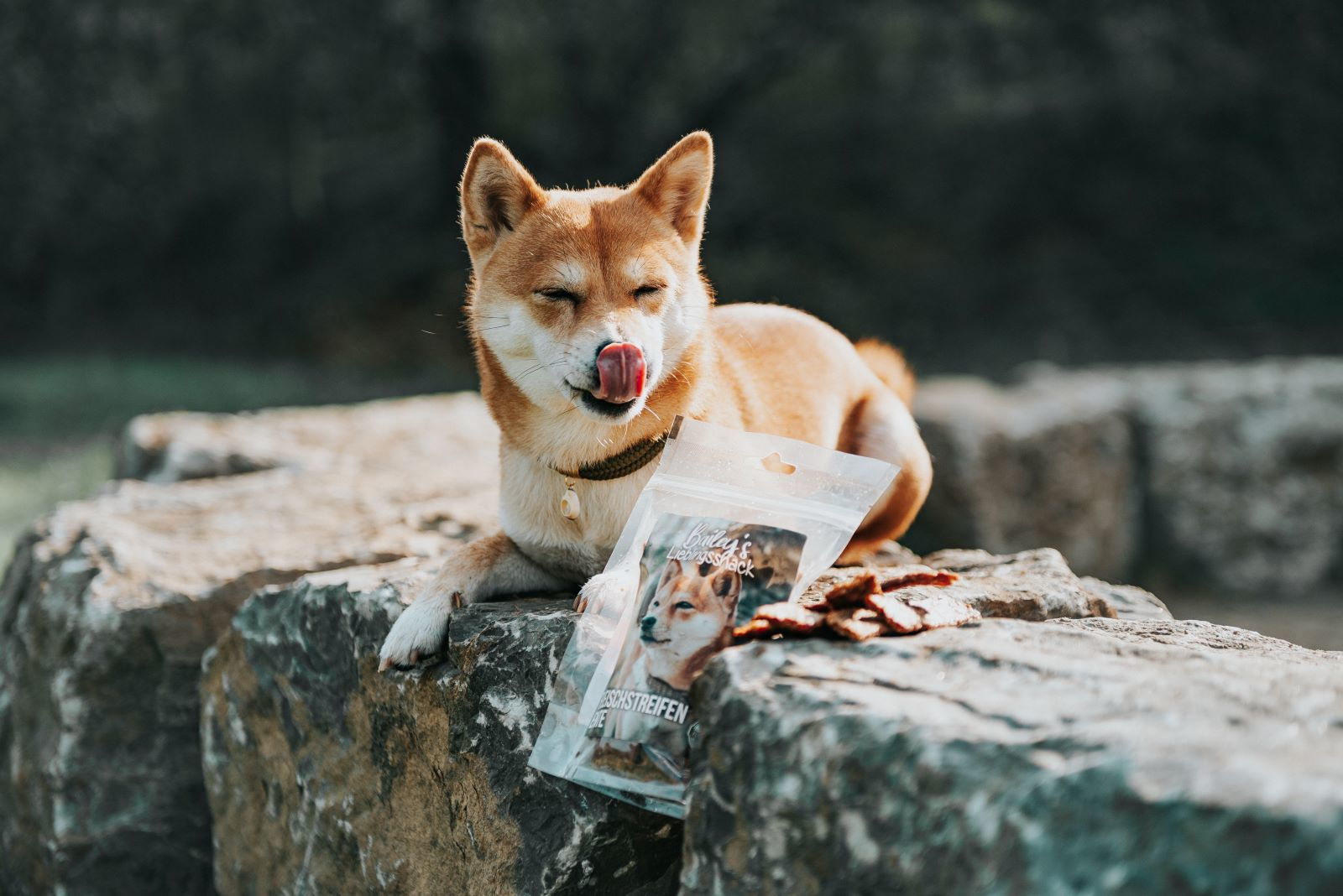 Dürfen Hunde Weintrauben essen