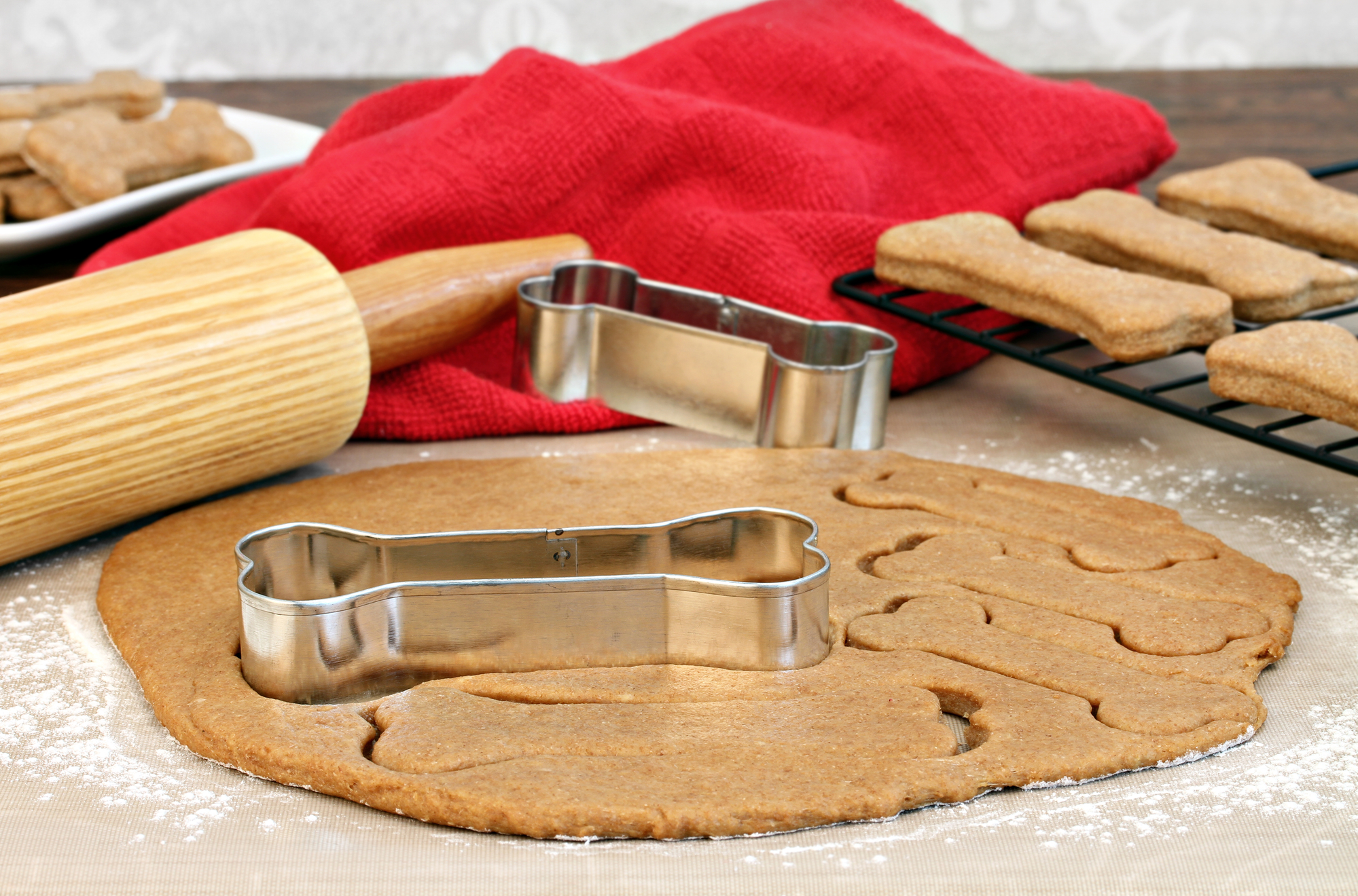 Hundekuchen: Rezepte und Tipps für leckere Belohnungen
