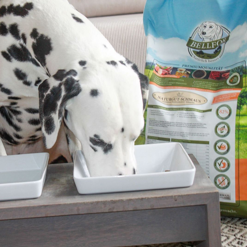 Woran erkennt man gesundes kaltgepresstes Hundefutter?