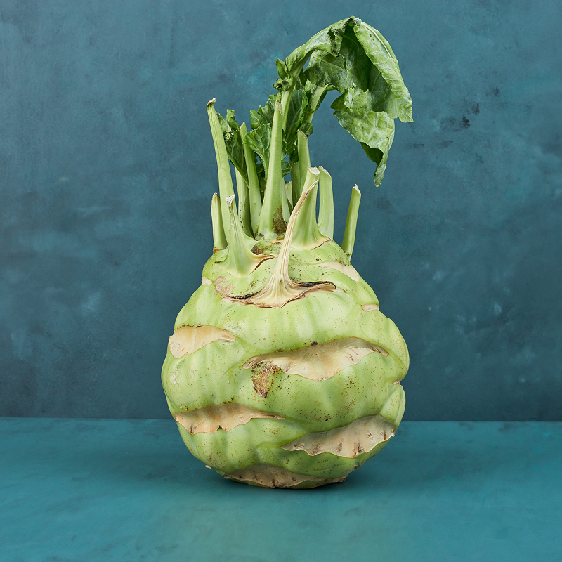 Dürfen Hunde Kohlrabi essen?