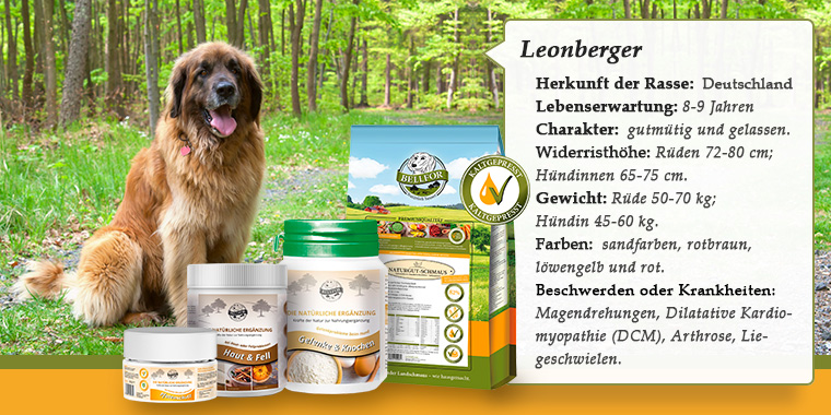 Leonberger banner