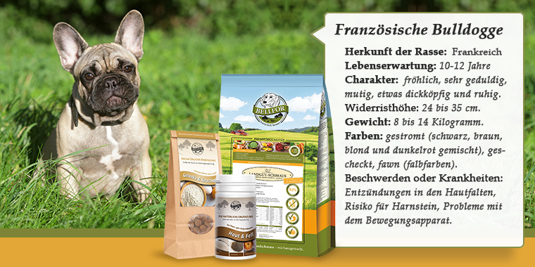 Bulldoggen-Eigenschaften