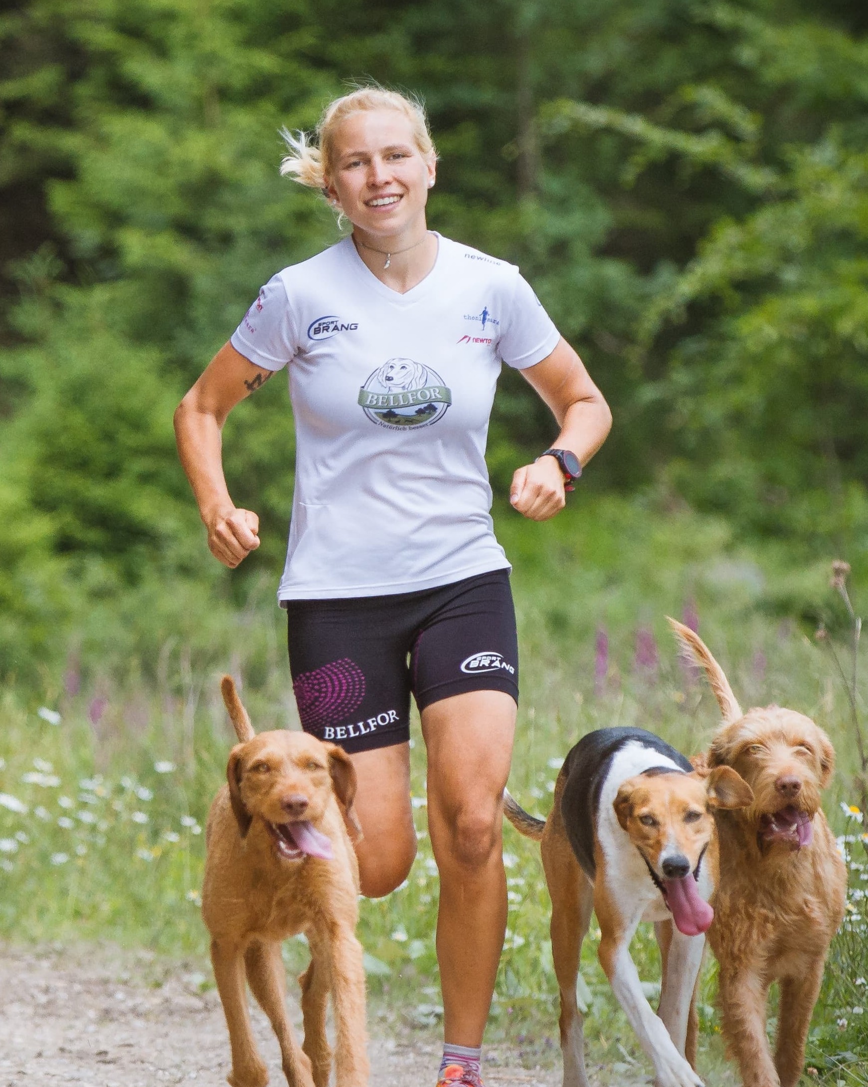 mit Haustieren laufen