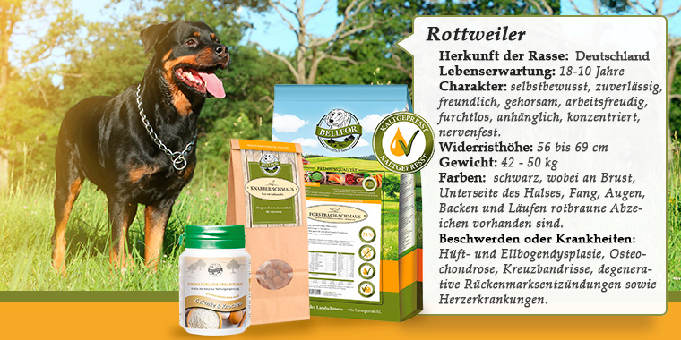 Rottweiler banner