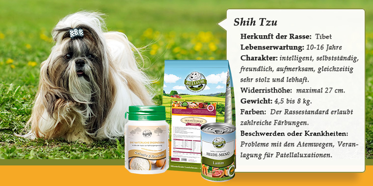 Shih Tzu banner