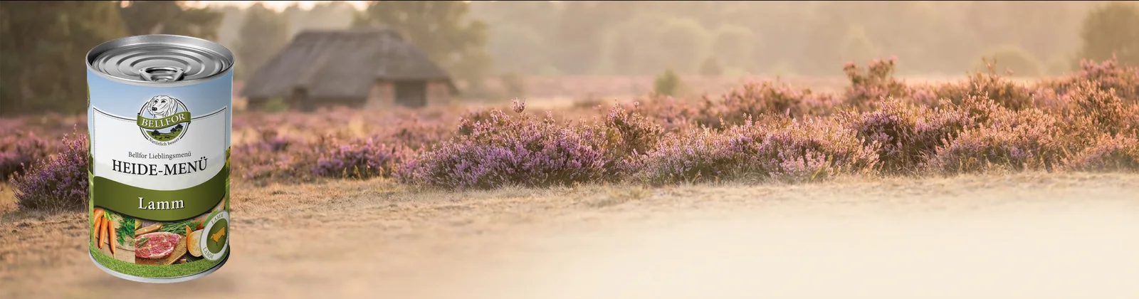 Bellfor Heide-Menü in der Heide im Abendlicht