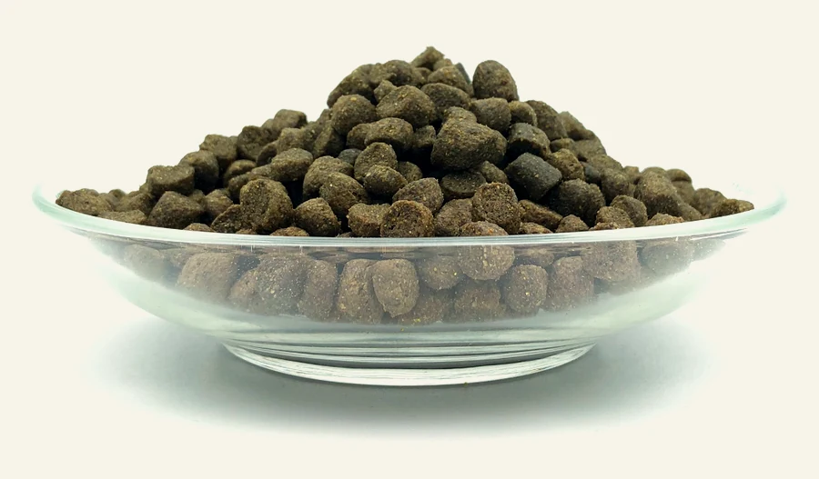 Napf mit Bellfor Landgut-Schmaus Junior Trockenfutter