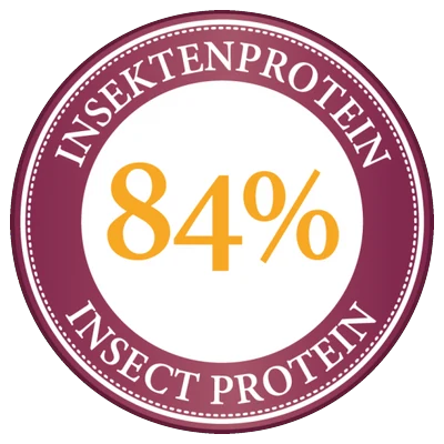 Insektenprotein 84 Prozent