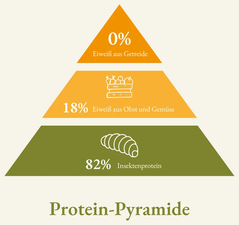 Protein-Pyramide: 82 Prozent Insektenprotein, 18 Prozent Eiweiß aus Obst und Gemüse, 0 Prozent aus Getreide