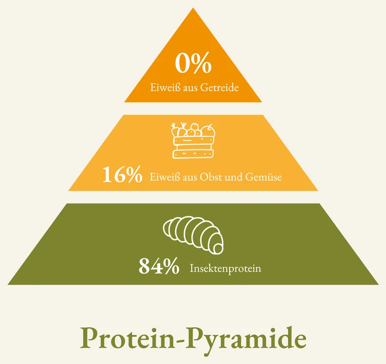 Protein-Pyramide: 84 Prozent Insektenprotein, 16 Prozent Eiweiß aus Obst und Gemüse, 0 Prozent aus Getreide