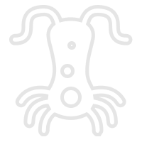 Leishmaniose