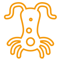 Leishmaniose