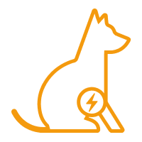 Liegeschwielen