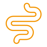 Würmer