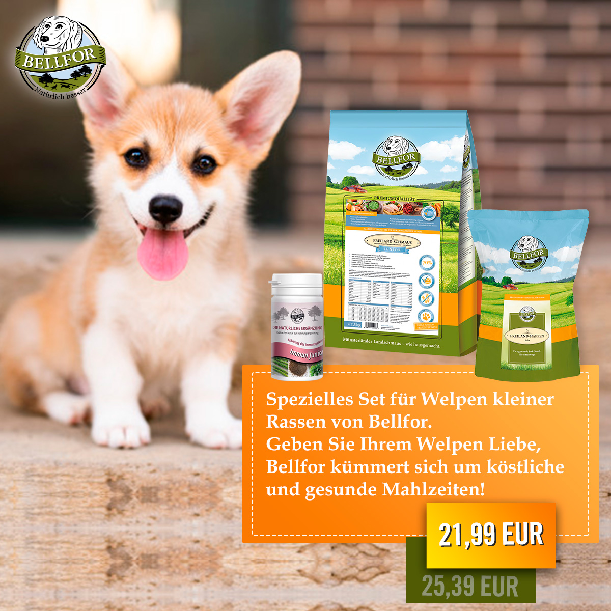 Welpen Set