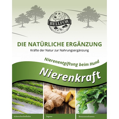 Bellfor Nierenkraft